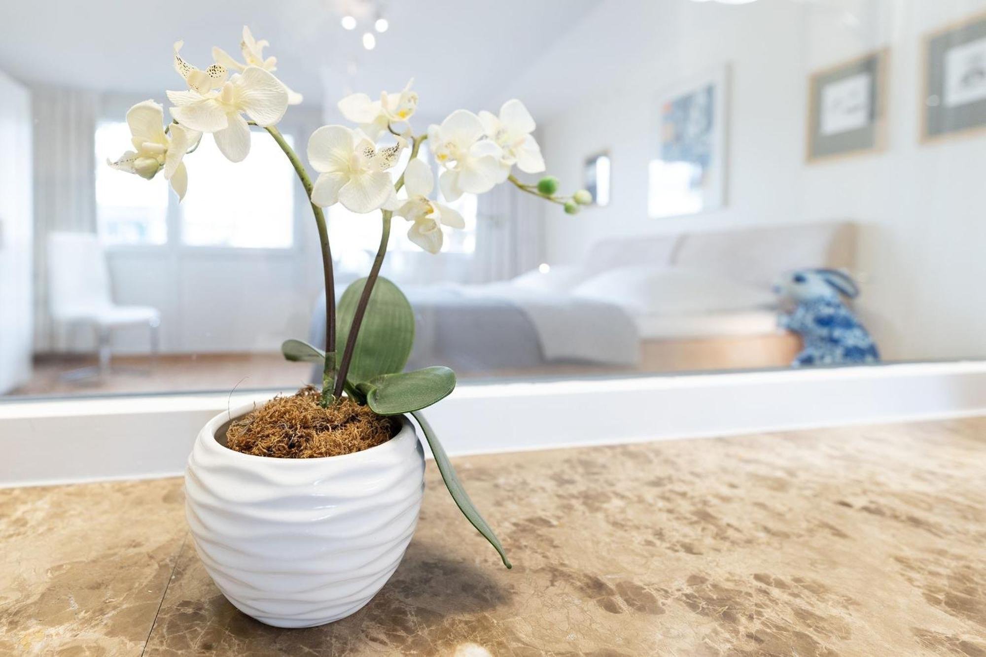 Haus Eva Mar Am Meer Appartement 1 Timmendorfer Strand Luaran gambar